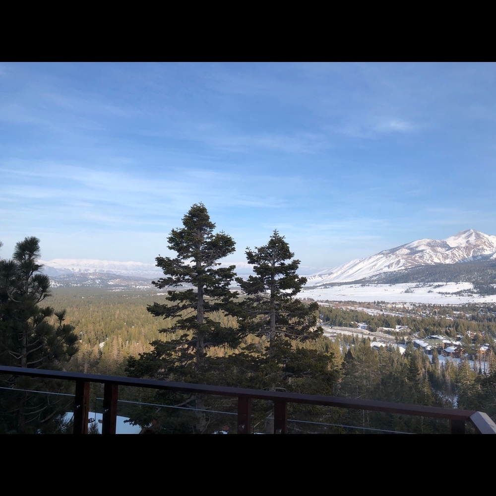 Meet your Posher, Dani